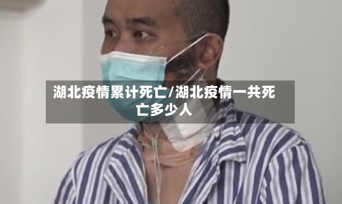 湖北疫情累计死亡/湖北疫情一共死亡多少人-第3张图片