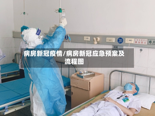 病房新冠疫情/病房新冠应急预案及流程图
