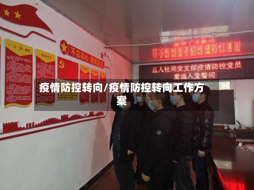 疫情防控转向/疫情防控转向工作方案