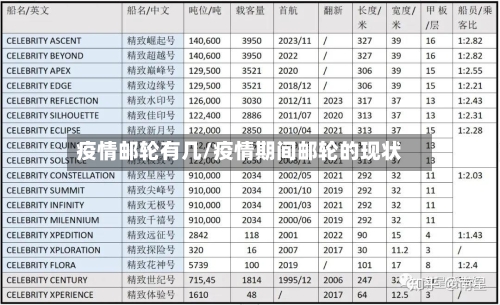 疫情邮轮有几/疫情期间邮轮的现状-第3张图片
