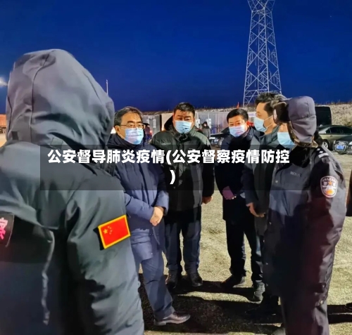 公安督导肺炎疫情(公安督察疫情防控)-第3张图片