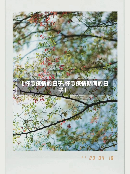 【怀念疫情的日子,怀念疫情期间的日子】-第2张图片