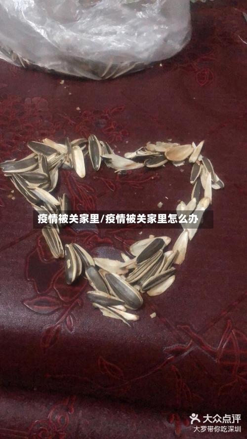 疫情被关家里/疫情被关家里怎么办-第2张图片