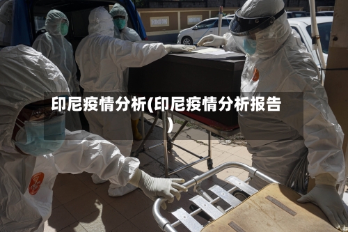 印尼疫情分析(印尼疫情分析报告)-第2张图片
