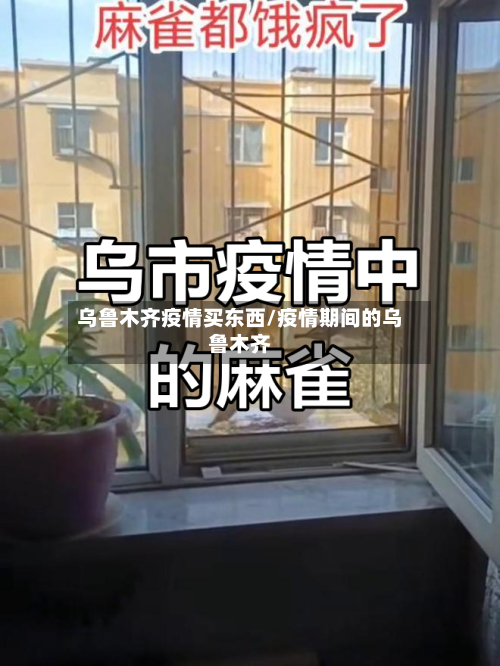 乌鲁木齐疫情买东西/疫情期间的乌鲁木齐-第3张图片