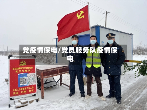 党疫情保电/党员服务队疫情保电-第2张图片