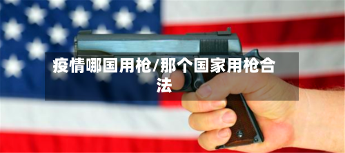 疫情哪国用枪/那个国家用枪合法