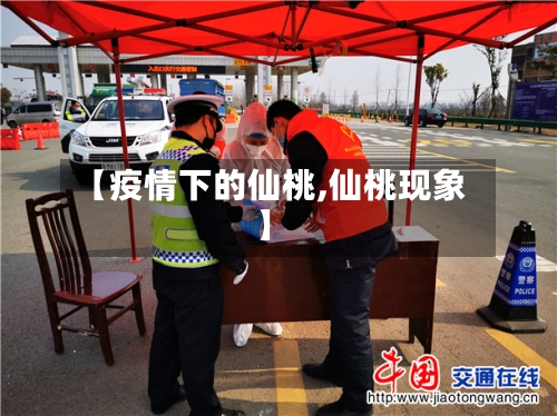 【疫情下的仙桃,仙桃现象】