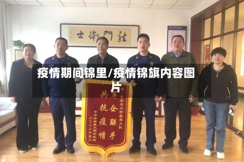 疫情期间锦里/疫情锦旗内容图片-第2张图片