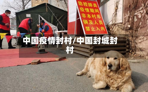 中国疫情封村/中国封城封村-第3张图片
