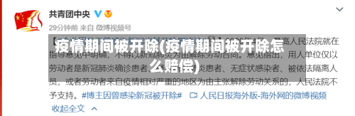 疫情期间被开除(疫情期间被开除怎么赔偿)-第2张图片