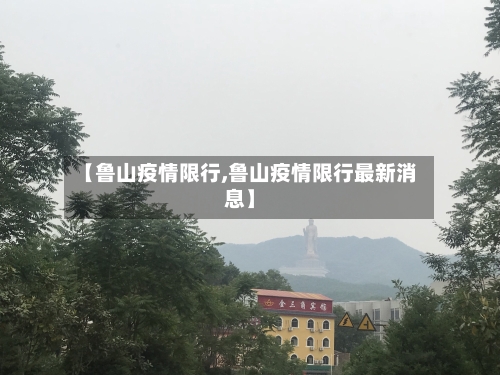 【鲁山疫情限行,鲁山疫情限行最新消息】-第3张图片
