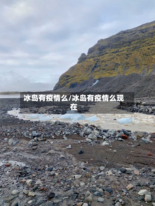 冰岛有疫情么/冰岛有疫情么现在