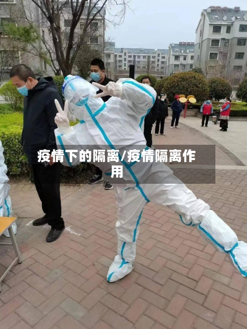 疫情下的隔离/疫情隔离作用-第3张图片