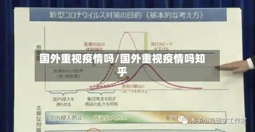 国外重视疫情吗/国外重视疫情吗知乎-第2张图片