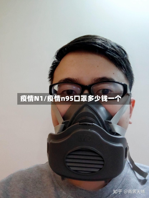 疫情N1/疫情n95口罩多少钱一个-第3张图片
