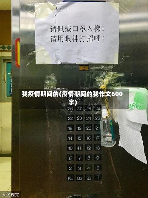 我疫情期间的(疫情期间的我作文600字)