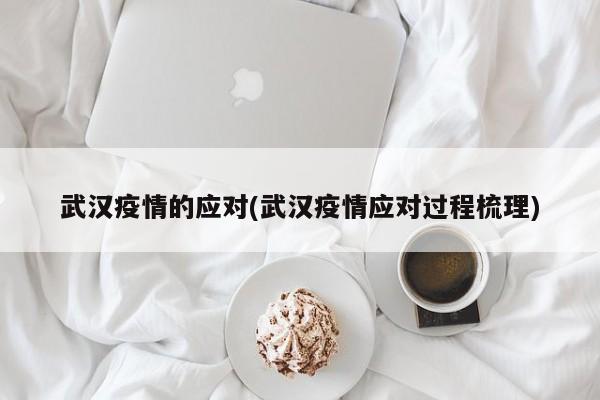 武汉疫情的应对(武汉疫情应对过程梳理)